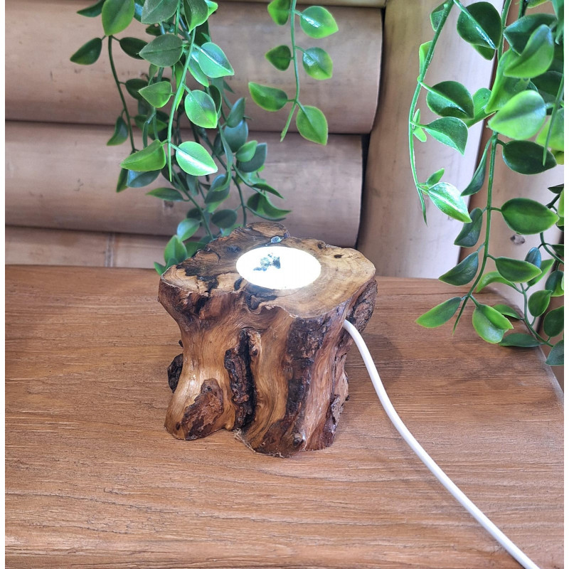 Support bois lumineux