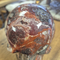 Skull en agate crazy lace